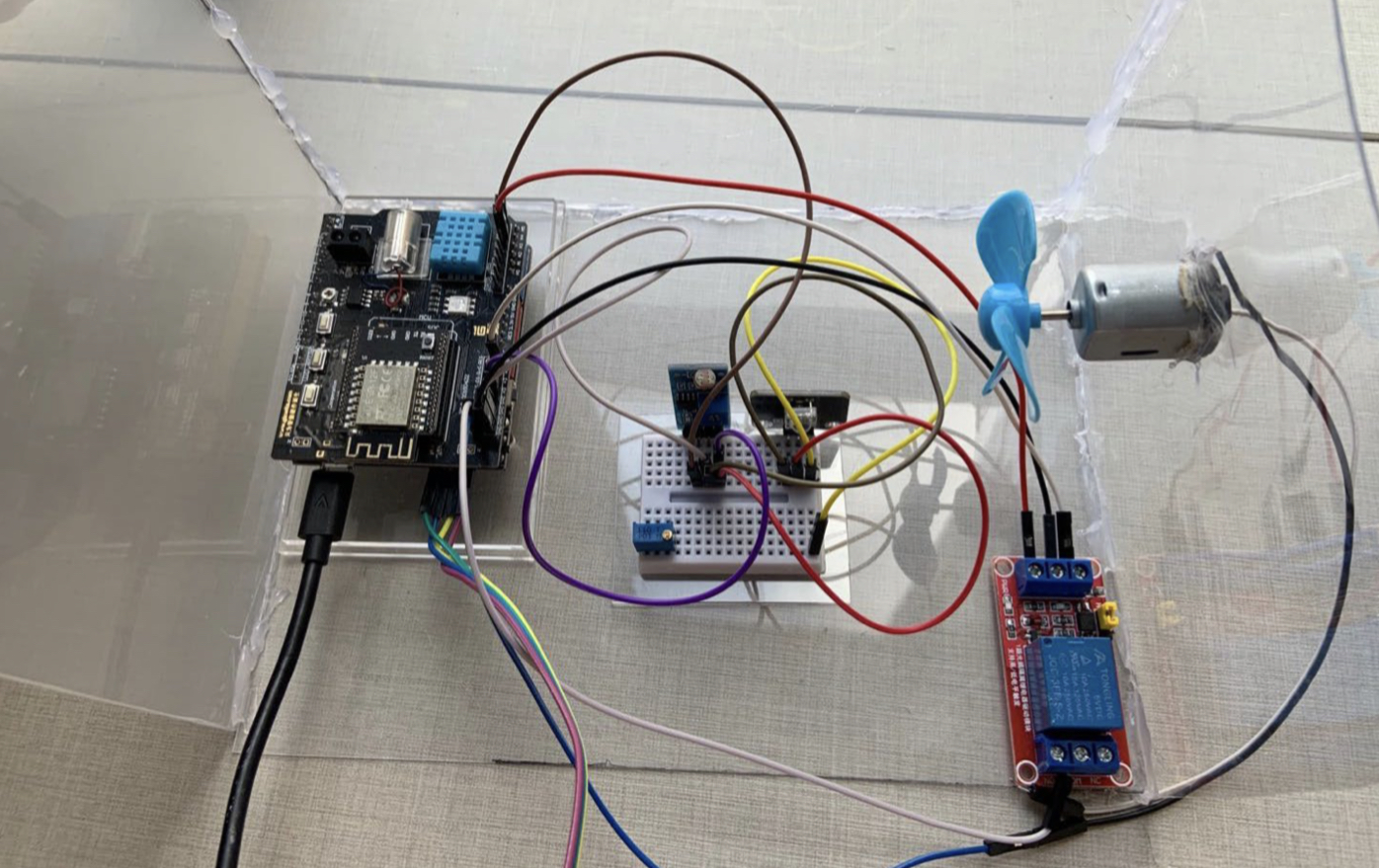 Test Environment